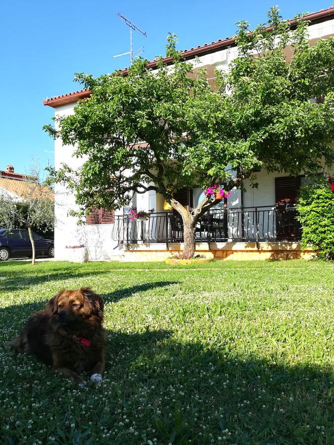 Villa Nina Porec Poreč Exterior foto
